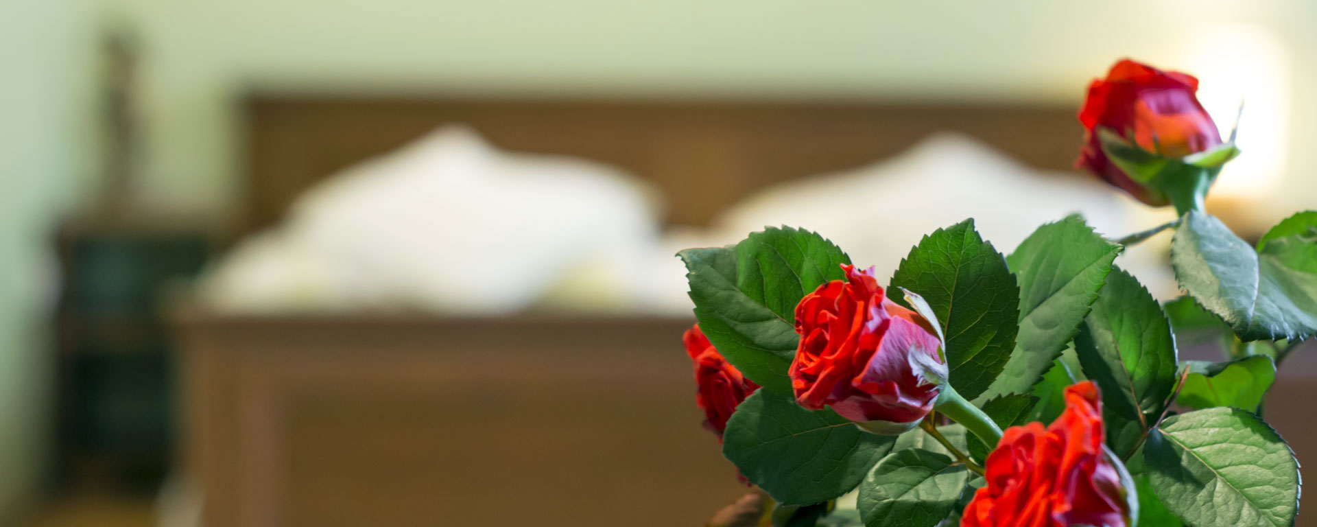 pensionas Lenkijoje apgyvendinimas Krokuva