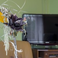 pensionas Lenkijoje apgyvendinimas Krokuva